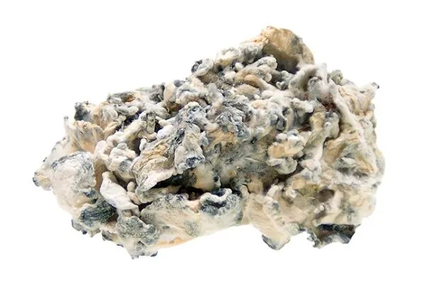 Enigma-magic-mushrooms-online-Canada-psilocybin-3-Amigos-health-600x411